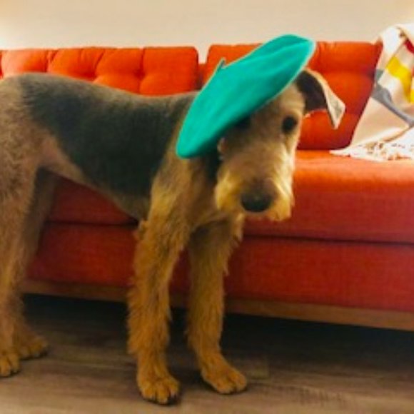 Meet your Posher, Jordan - Picture 3 of 5